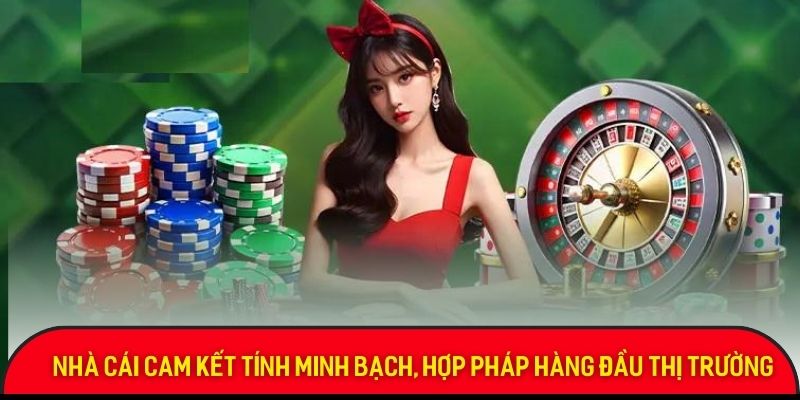 88nn-cam-ket-minh-bach