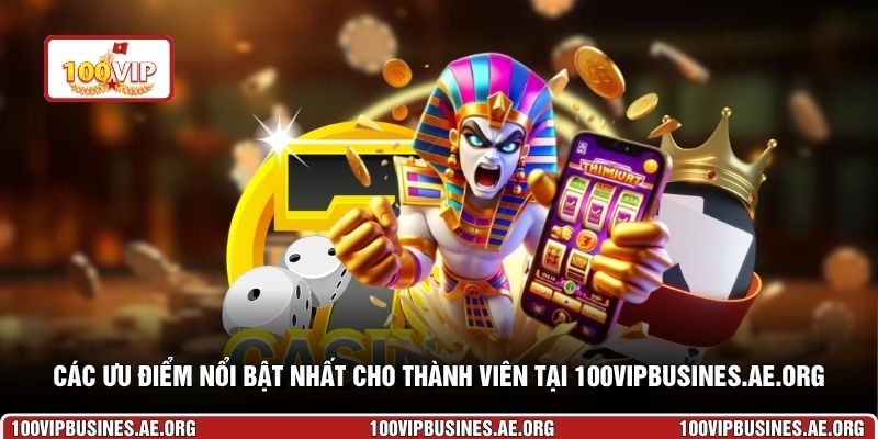 Các ưu điểm nổi bật nhất cho thành viên tại 100vipbusines.ae.org